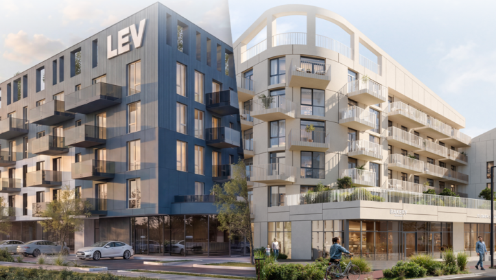LEV Development